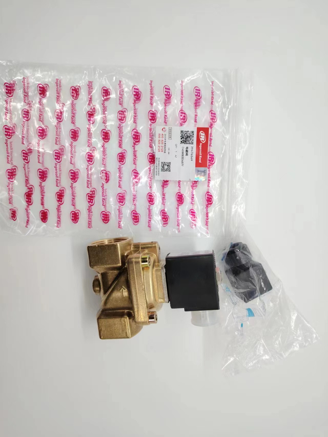 Ingersoll Rand Spare Parts 39476569 Solenoid valve